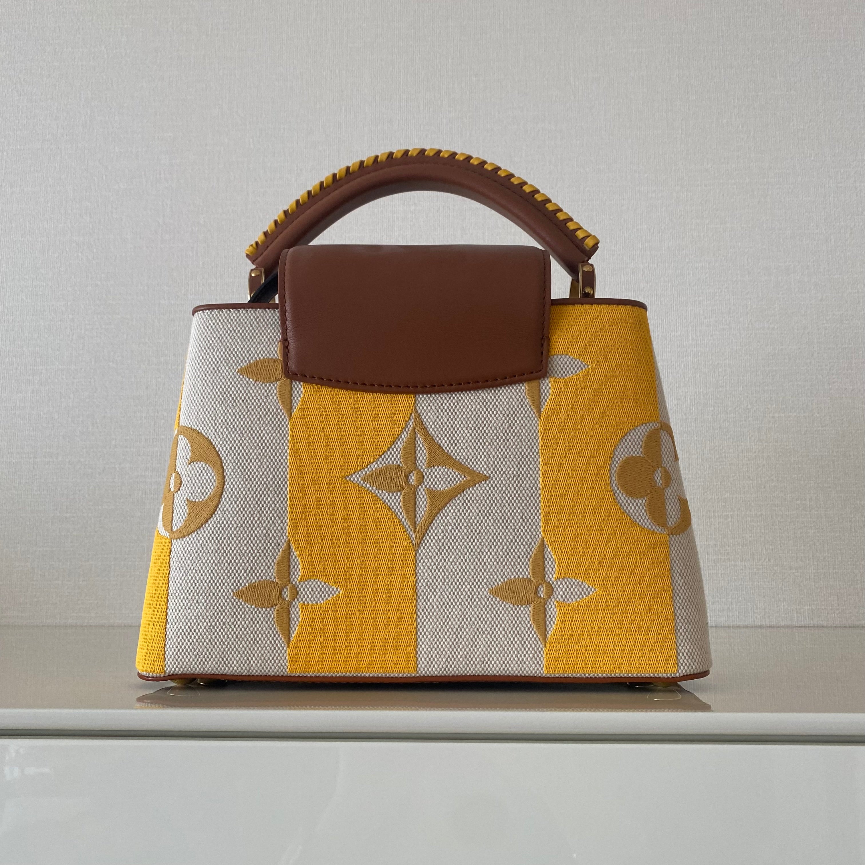 Louis Vuitton カプシーヌBB