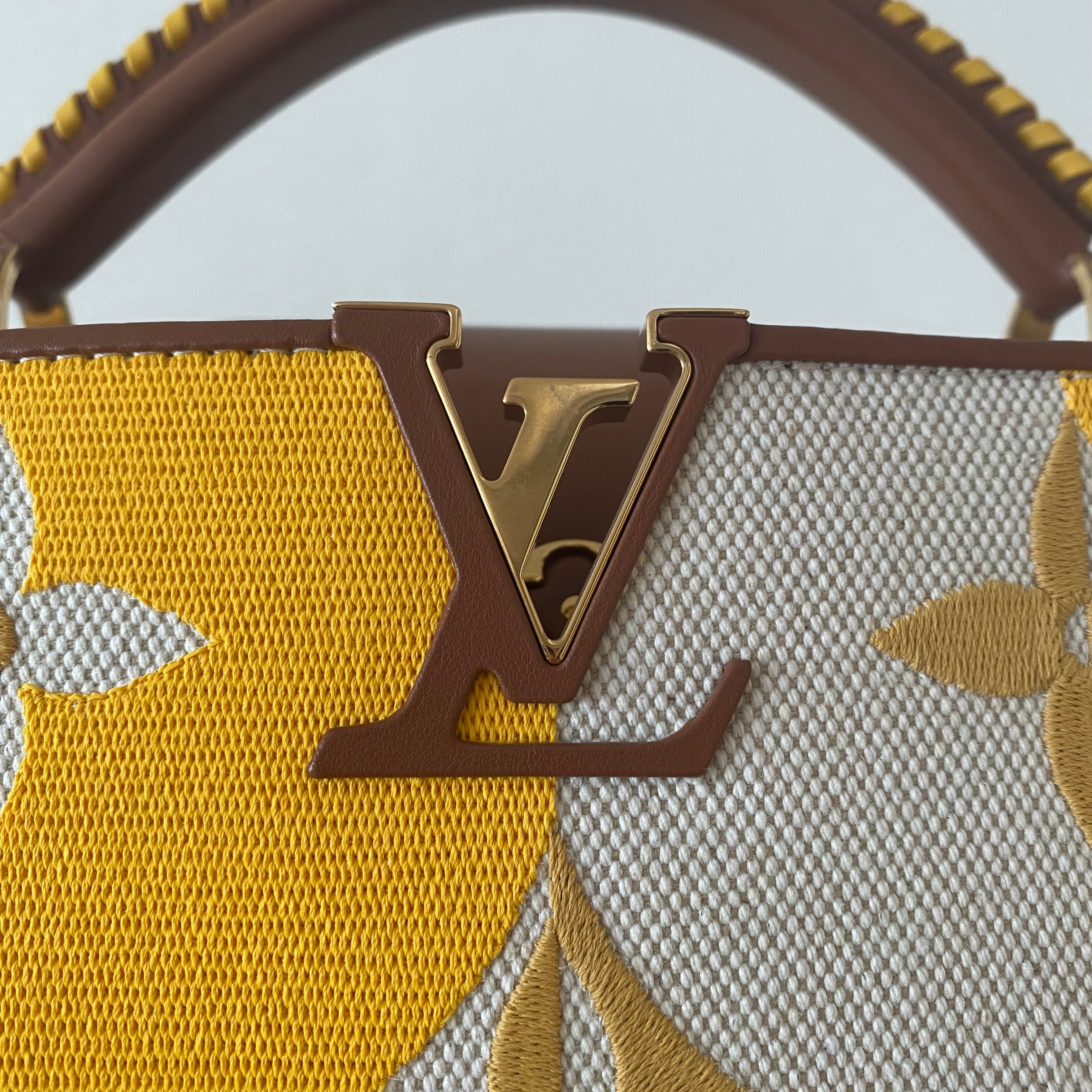 Louis Vuitton カプシーヌBB