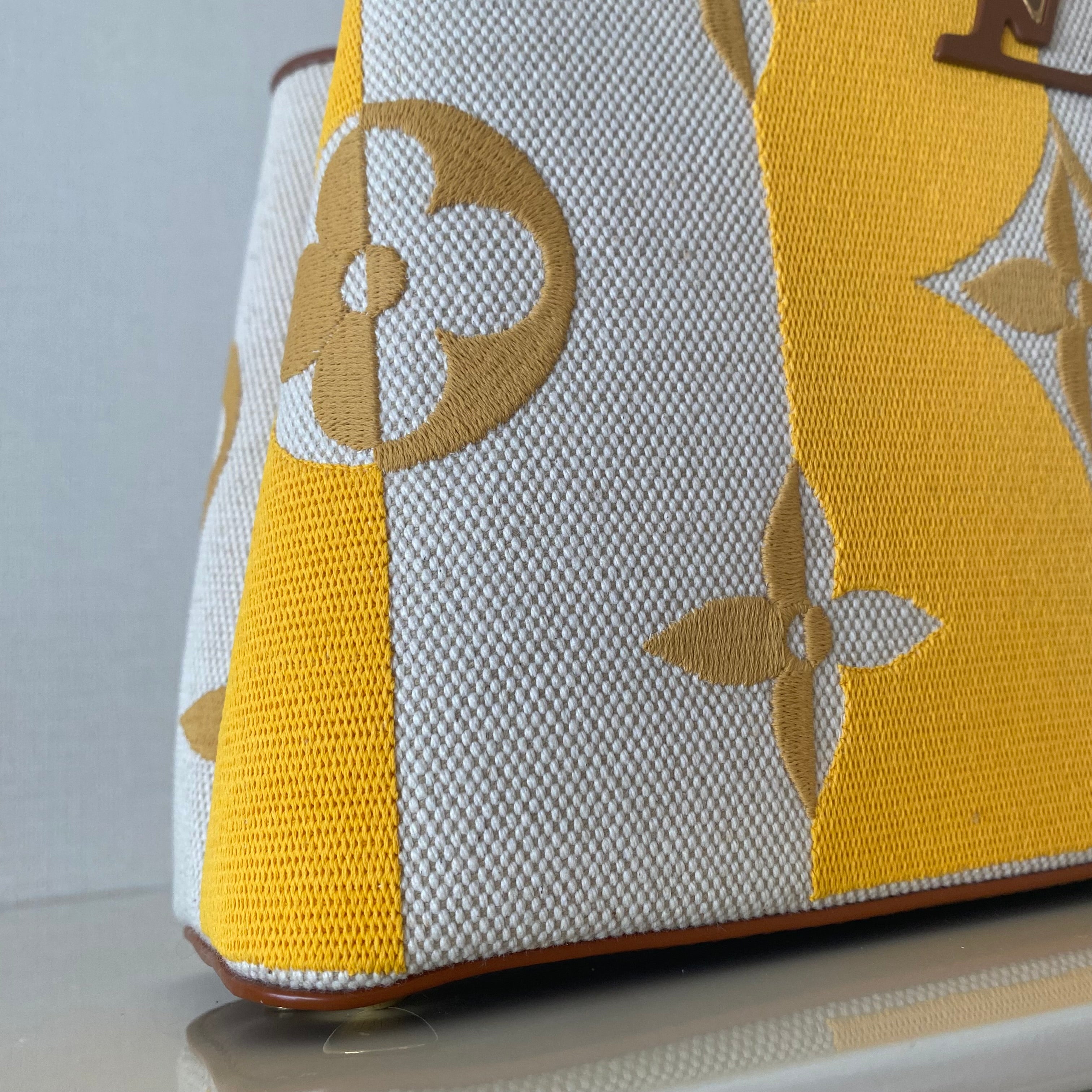 Louis Vuitton カプシーヌBB