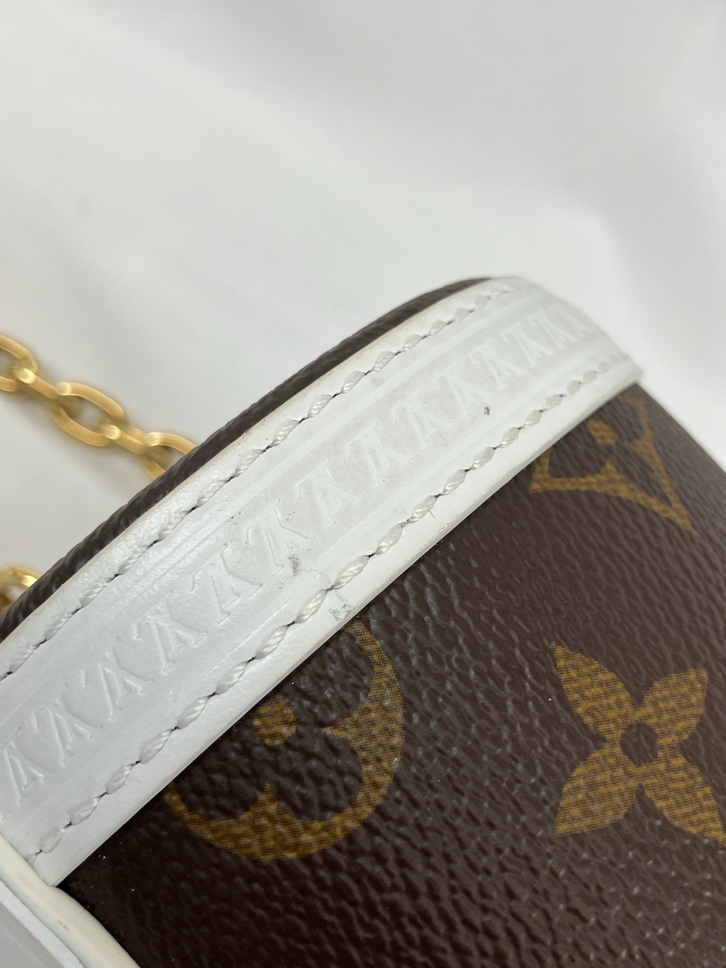 LOUIS VUITTON　ルイヴィトン　トランク　2WAY　ショルダーバッグ　M81485　モノグラム　パピヨン