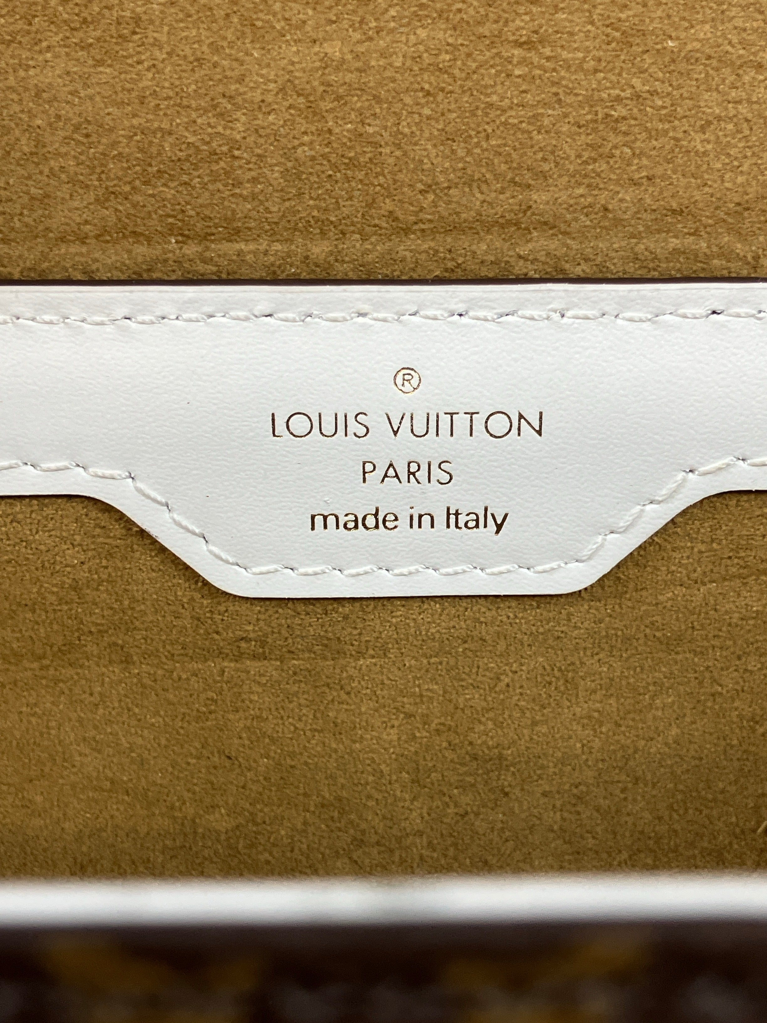 LOUIS VUITTON　ルイヴィトン　トランク　2WAY　ショルダーバッグ　M81485　モノグラム　パピヨン